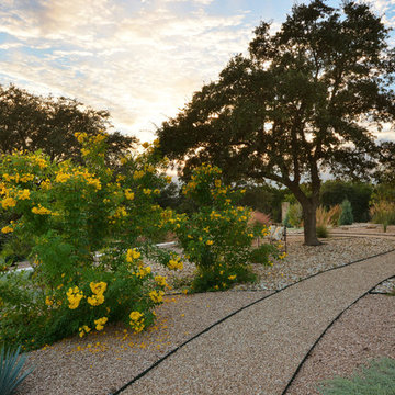 Austin Xeriscape