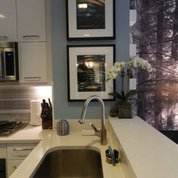 My Houzz: Bachelor's NYC Pad