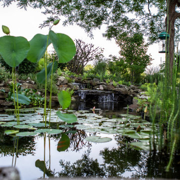 Tranquility