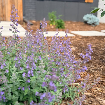 Total Indoor + Outdoor Renovation - Park Hill, CO
