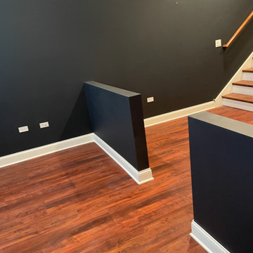 Bucktown, basement remodel