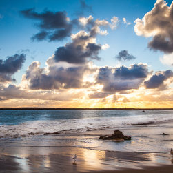 Sunset and seagulls - Products