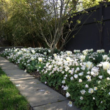 Exterior Ideas