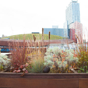 Downtown Deck with Views