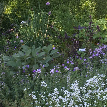 Herb garden