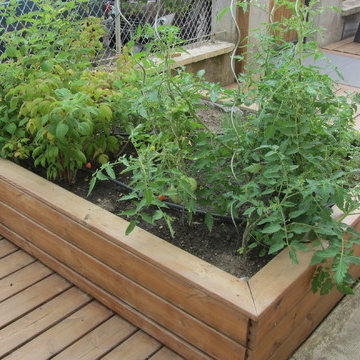 Jardin de ville