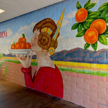 Rite Aid Shopping Center Murals - Muralist Carolee Merrill