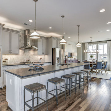 Prosperity Plains - The Carver Model