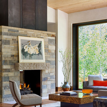 Riverfront Modern: Living Room