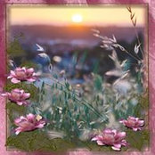 Lisa Faix's photo