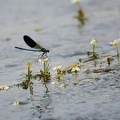 Bernadette Chapman's photo