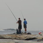 Roger Adams's photo