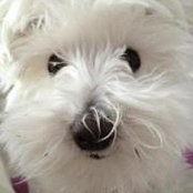 Lisa Bradshawさんの写真