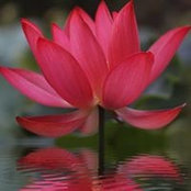 Julie Terry's photo