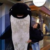 Jenn Park's photo