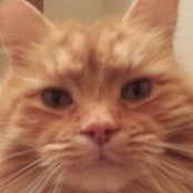 Cindy Anderson's photo