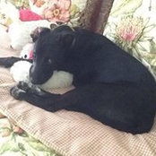 Debbie King's photo