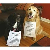 Donna Mullan's photo