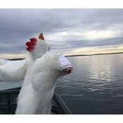 Sabine Varnes's photo
