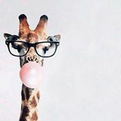 Fouada Ismail's photo