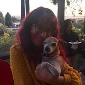 Judy Hollander's photo