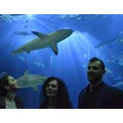 Luiza Suatean's photo