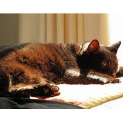 Susan Clement's photo
