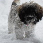 Penny Gamble's photo