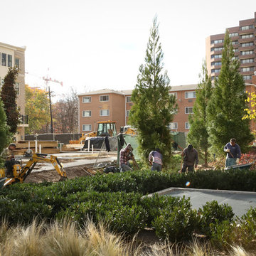 Greening the urban jungle