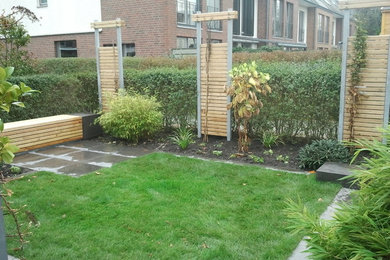 Kleiner Garten im Herbst, hinter dem Haus mit direkter Sonneneinstrahlung in Hamburg