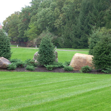 Flower/Planting Beds