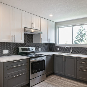Edmonton Spruce Avenue - Full Interior & Exterior Renovation