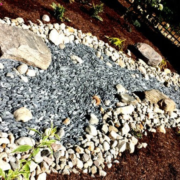 Dry Stream Bed