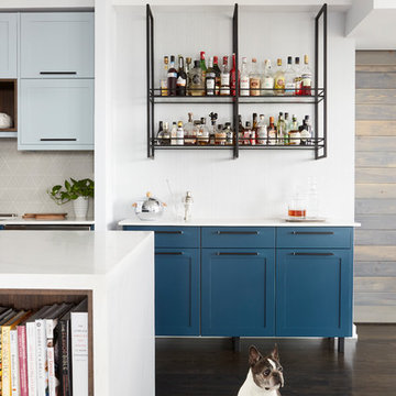 Downtown Toronto Condo Kitchen