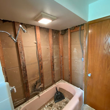 JOIST REPAIR AND TUB TILE SURROUND REPLACEMENT/INSTALL