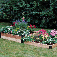 raised beds