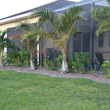 Landscape Design,Palms Plants Charcoal Misquite Stone Curbing