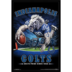 Trends International NFL Los Angeles Rams - End Zone 17 Wall Poster,  22.375 x 34, Black Framed Version