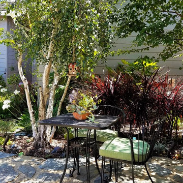 Patio Table with Birch Tree Shade