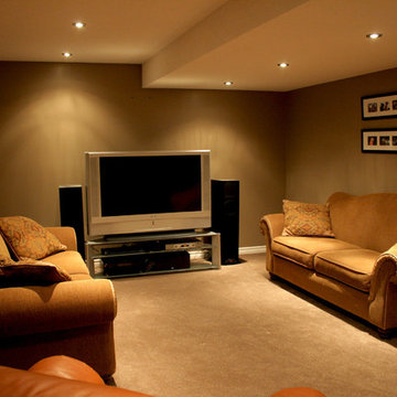 Basement Family Room