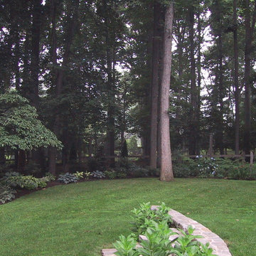 Deer Fencing