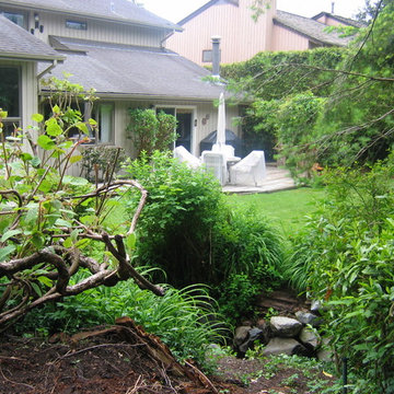 North Shore C/M Before