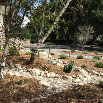 Rain Garden