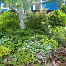 Foliage