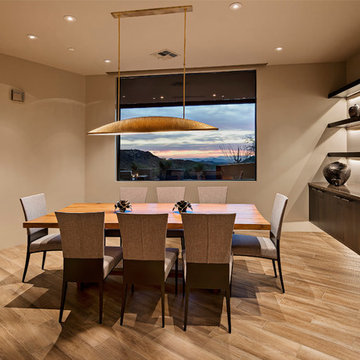 Terry Kilbane / Desert Modern / Saguaro Forest / Desert Mountain