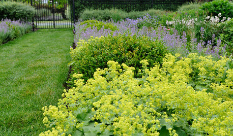 Eksperter: Her er planterne, der holder bedst til fremtidens vejr