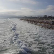 Diana Yanez's photo