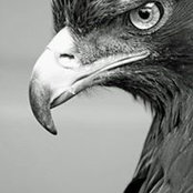 Foto de Wally Hunter
