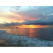 Ethan Waleson's photo