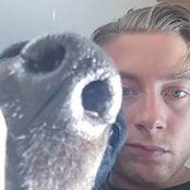 Oli Lys billede